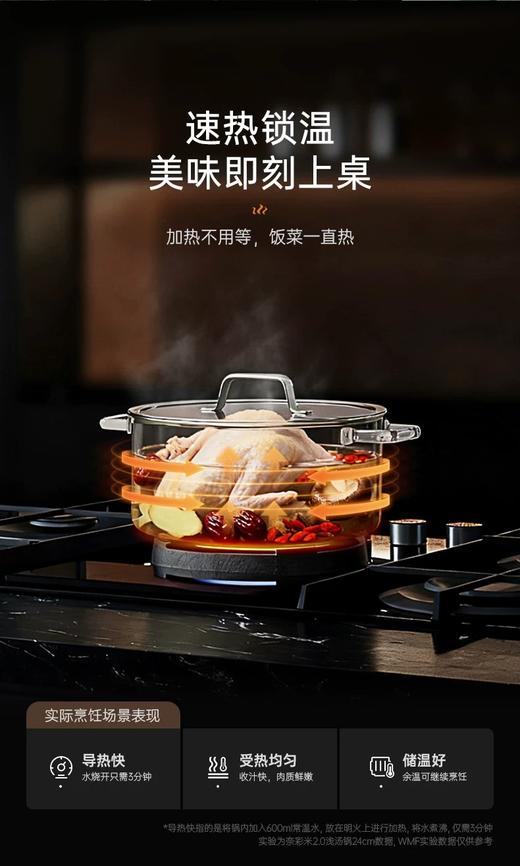 【6F】WMF德国原装进口奈彩米2.0汤锅20cm（桉树绿） 商品图5