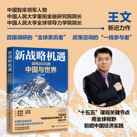 新战略机遇：迈向2035的中国与世界   王文  中国人民大学出版社