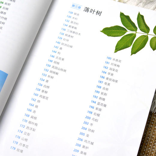 树木图鉴 商品图3