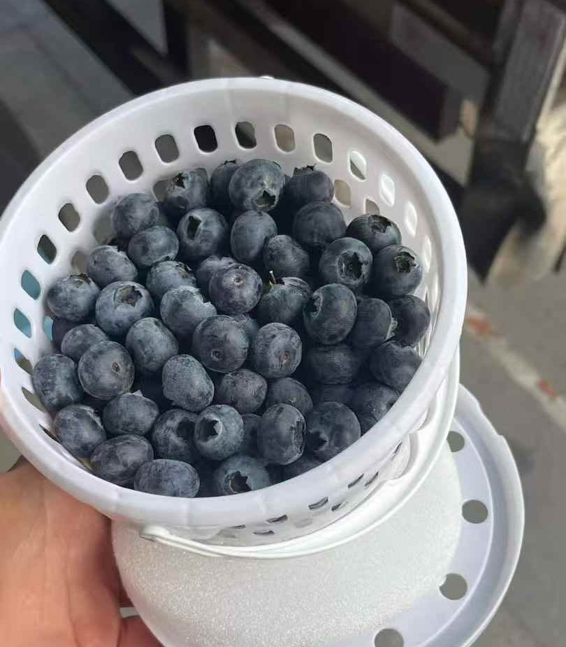 周三取货：【寻味蓝莓18+】一桶400克左右，甜蜜无酸！果粉超足，蓝莓香味超浓！