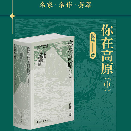 你在高原.中(全3册) 商品图0
