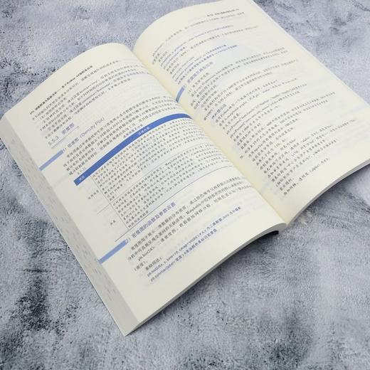 智能财务大数据分析:基于Python AI编程及应用 商品图4