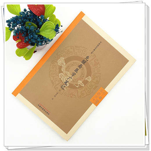 先醒斋医学广笔记 (明) 缪希雍 著（中医临证经典文库）中国中医药出版社 明清中医临证小丛书 古典医籍 书籍 商品图1