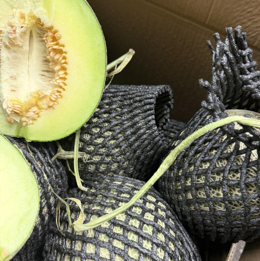 口口蜜🍈网纹瓜 约2..5斤 15.8/个 新货需放软 口感绵甜 商品图2
