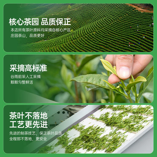 热卖中！！【 四标一码一监制认证 非遗大师监制 】2026新茶 白帝明前安吉白茶 商品图9