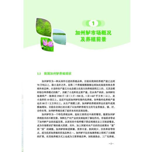 视频图解加州鲈健康养殖关键技术 商品图4