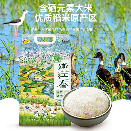 嫩江春富硒香米 5kg/袋JL 商品图0