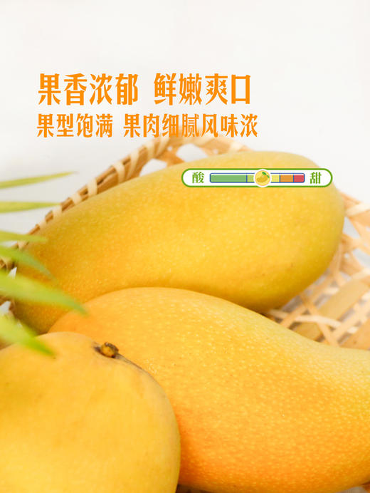 MM 山姆 纸核芒 3kg 商品图2