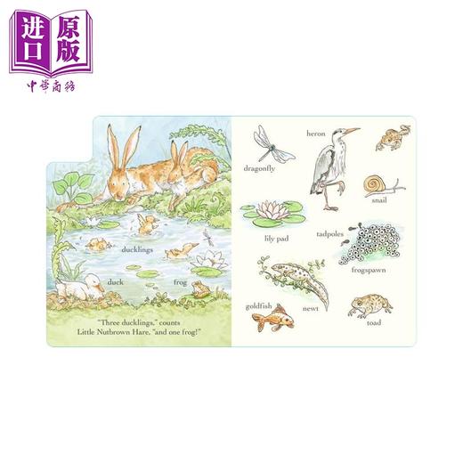 【中商原版】猜猜我有多爱你 100词 Guess How Much I Love You Out and About in 100 Words 英文原版 亲子纸板书 进口童书 商品图3