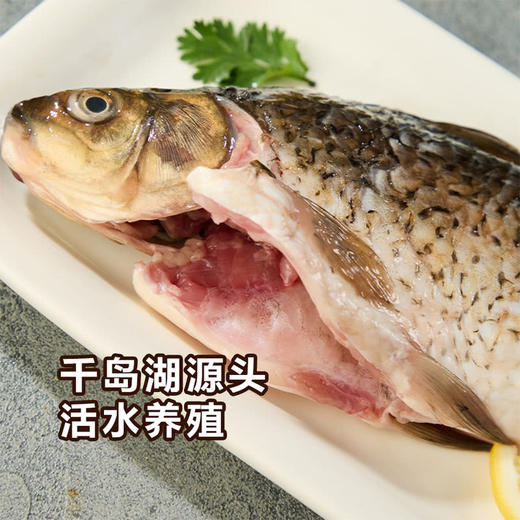 MM 山姆 千岛湖三去鲫鱼4条 1kg 商品图3