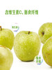 MM 山姆 香蜜王林苹果 1.8kg 商品缩略图7