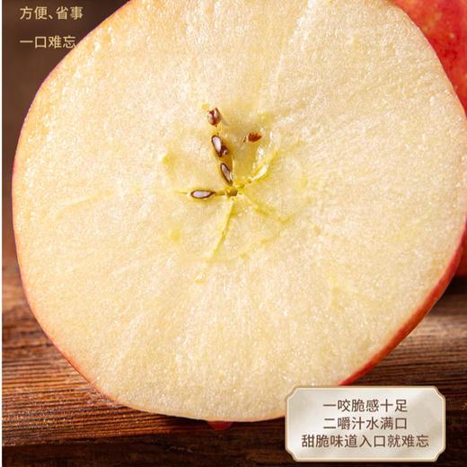 力邦6号红苹果80#（12枚装） 商品图1