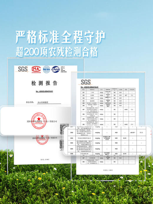 MM 山姆 高山玲珑枇杷 800g 商品图3