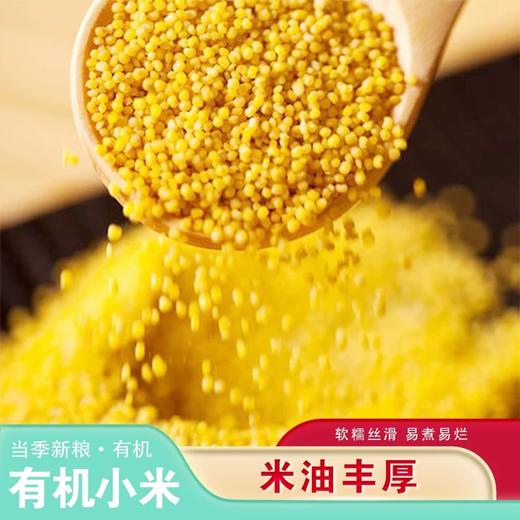 *东北有机黄小米2.5kg/袋JL 商品图1
