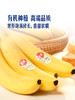 MM 山姆 有机香蕉 1.2kg 商品缩略图2