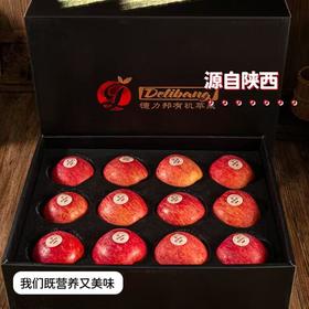 力邦6号红苹果85#（12枚装）