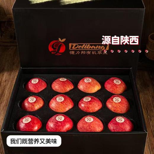力邦6号红苹果85#（12枚装） 商品图0