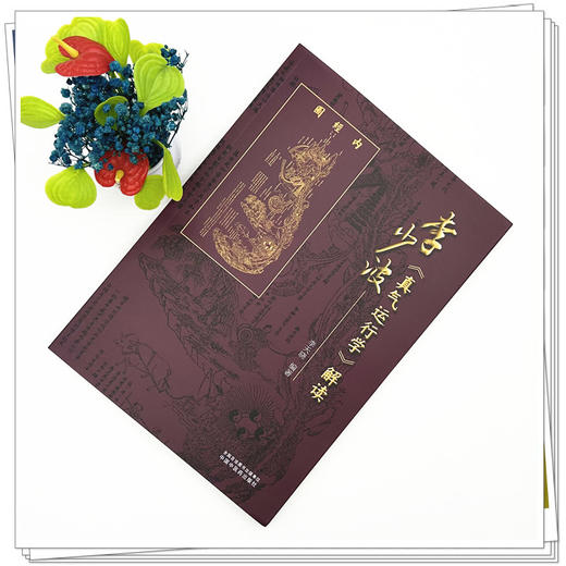 李少波《真气运行学》解读 李天晓 编著 中国中医药出版社 真气运行养生实践 中医入门 养生书籍 商品图1