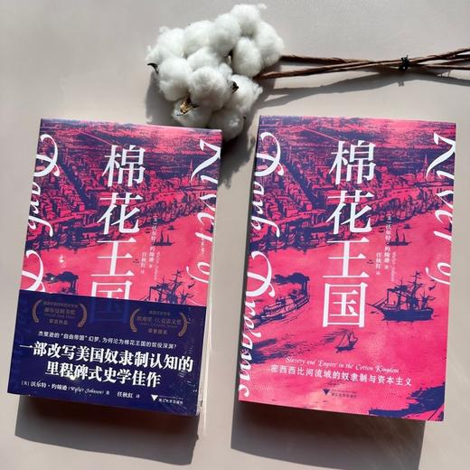 棉花王国:密西西比河流域的奴隶制和资本主义 商品图2