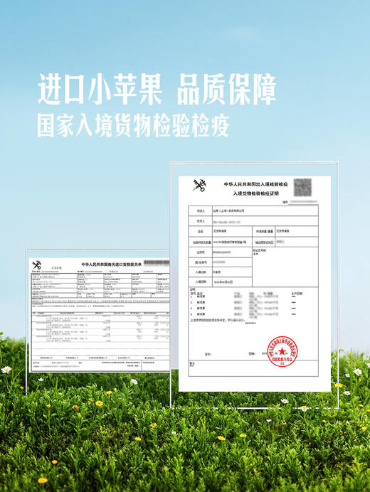 MM 山姆 进口Mini苹果 2.7kg 商品图3