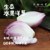 生态水果紫洋葱（基地直发-顺丰包邮）｜3斤/5斤/箱， 来自云南元谋，生产者：洪炜【合作生产，公平贸易】 商品缩略图0
