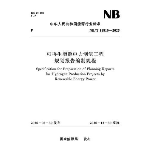 可再生能源电力制氢工程规划报告编制规程 NB/T 11810—2025 商品图0
