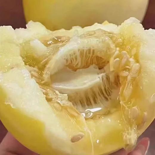 沂蒙山头茬甜瓜星甜小蜜蜂瓜清脆可口 清爽多汁 商品图2