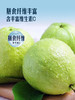 MM 山姆 红心芭乐 1.5kg 商品缩略图5