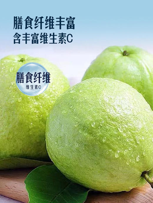 MM 山姆 红心芭乐 1.5kg 商品图5