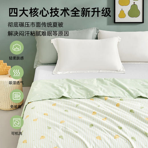 【直降125】全棉印花夏被(清香牛油果) 商品图2