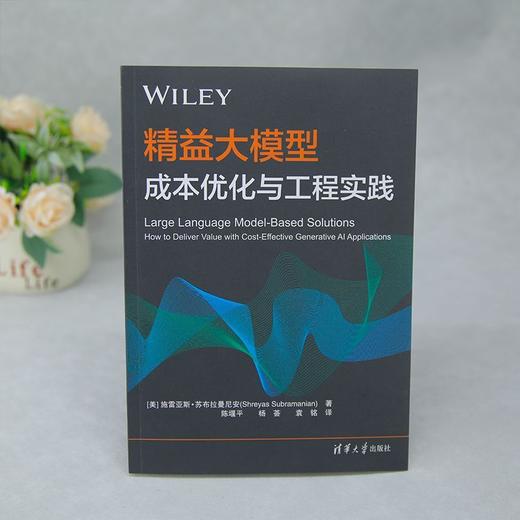 精益大模型:成本优化与工程实践 商品图3