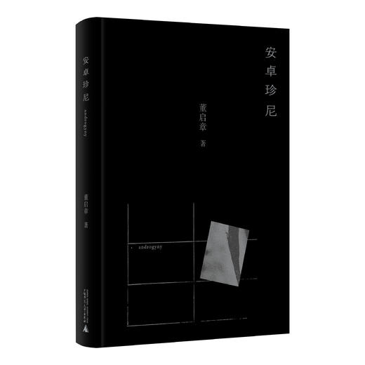 安卓珍尼 董启章/著【知新】 商品图4