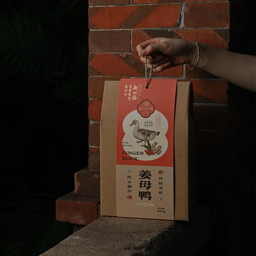 闽南特色新四海姜母鸭500g 商品图4