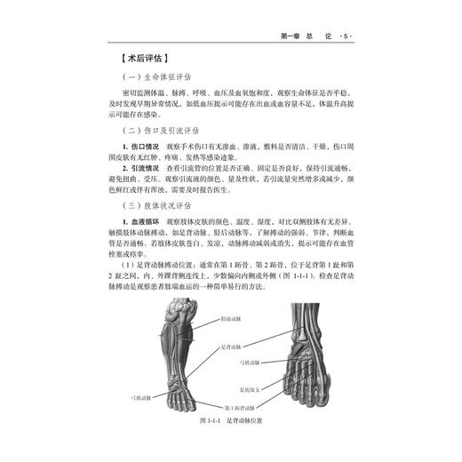 血管外科护理手册 吴学君 张丽 主编 适于各级医疗机构血管外科及相关科室护理人员使用 临床医学 外科学9787030848864科学出版社 商品图4