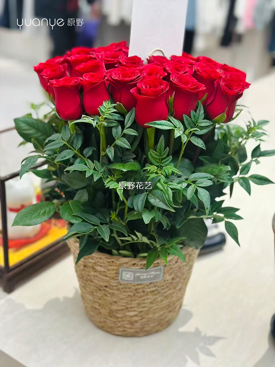 2款可选【坚定浓烈的爱】抱抱桶