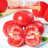 普罗旺斯西红柿礼盒装4.5斤 商品缩略图5