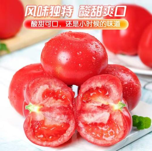 普罗旺斯西红柿礼盒装4.5斤 商品图5
