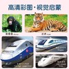 小宝贝早教启蒙全书全套 0-3岁幼儿园看图识字动物认知点读版 商品缩略图3
