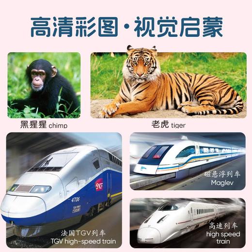 小宝贝早教启蒙全书全套 0-3岁幼儿园看图识字动物认知点读版 商品图3