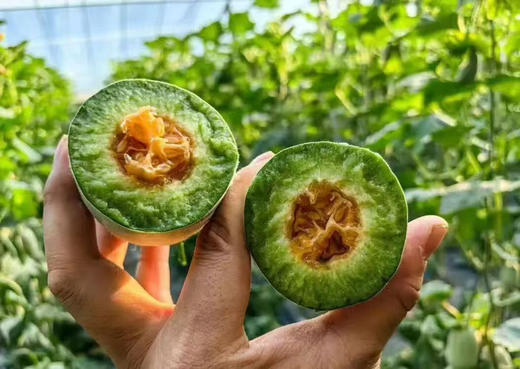 蜜七七羊角蜜瓜6-8个装 商品图6