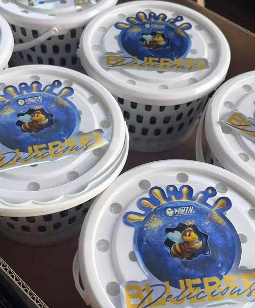 周三取货：【寻味蓝莓18+】一桶400克左右，甜蜜无酸！果粉超足，蓝莓香味超浓！ 商品图2