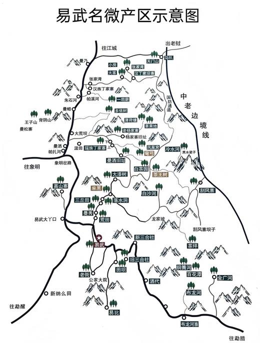 4月3日中午12点【金竹林】2026年春茶预售弯弓金竹林・普洱生茶 易武秘境，柔中藏刚的山野甜韵 献给发烧友的藏品！357g/饼 商品图3