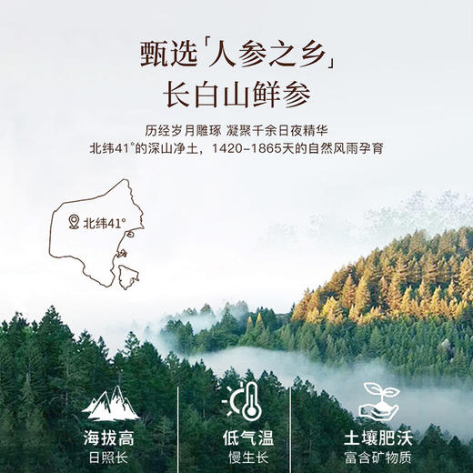 *【元气满满】九蒸九晒 补钙健体长白山黑参小丸子128g/袋JL 商品图2