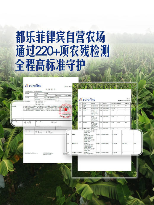 MM 山姆 超甜焦 1.4kg 商品图4