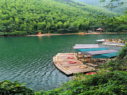 五一4日【溧阳竹光】江南人文山水の竹海秘境-湖光禅意-南山竹海-窑湖小镇-天目湖-报恩禅寺-溧阳夜景-南京 商品图8