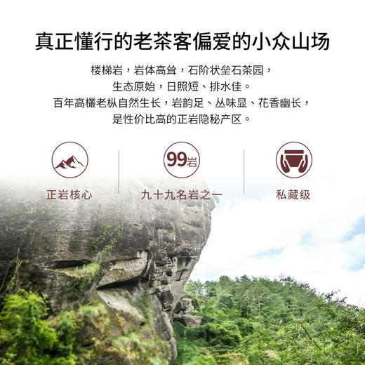 【窠岩氏】07楼梯岩老枞水仙80g 商品图3