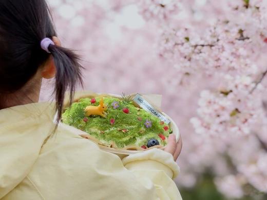 小兔子的绿草地 商品图1