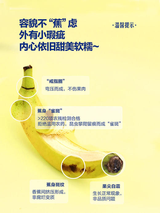 MM 山姆 超甜焦 1.4kg 商品图10