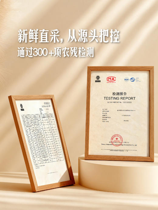MM 山姆  网纹甜瓜 2粒装（总净重≥2.4kg） 商品图3