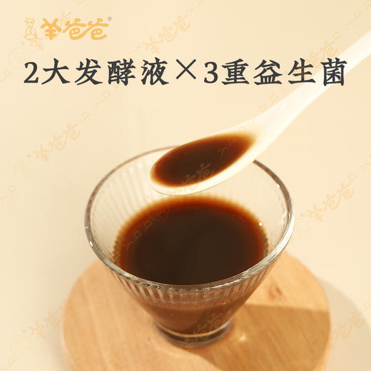 升级版【桑荷普洱发酵饮】几养|畅轻无负担 守护纤纤身型 商品图3